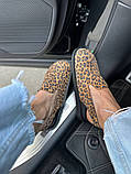 Клогі жіночі замшеві леопардові, фото 2