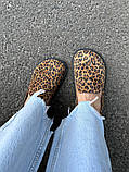 Клогі жіночі замшеві леопардові, фото 3