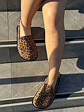 Клогі жіночі замшеві леопардові, фото 7