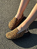 Клогі жіночі замшеві леопардові, фото 8