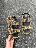 Босоніжки жіночі замшеві леопардові на липучках, фото 9