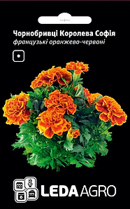 Чорнобривці Королева Софія 0,05г