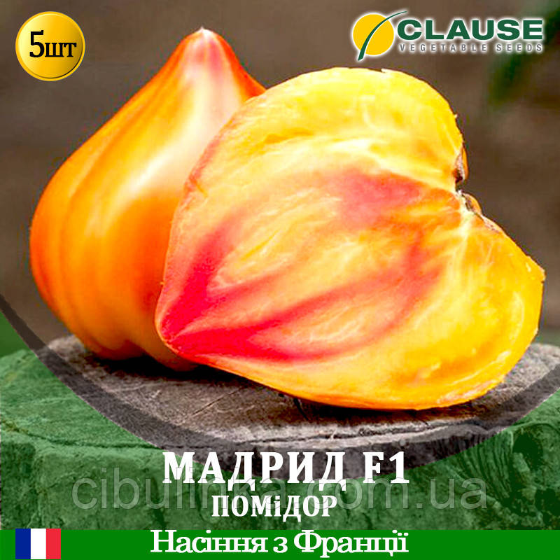 Помідор Мадрид F1 (високорослий) Clause 5 шт (zip-paket)