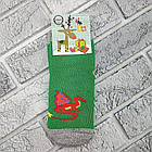 Шкарпетки дитячі середні зимові з махрою р.7-8 років асорті дракон ДУКАТ 30039041, фото 3