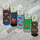 Шкарпетки дитячі середні зимові з махрою р.7-8 років асорті дракон ДУКАТ 30039041, фото 2