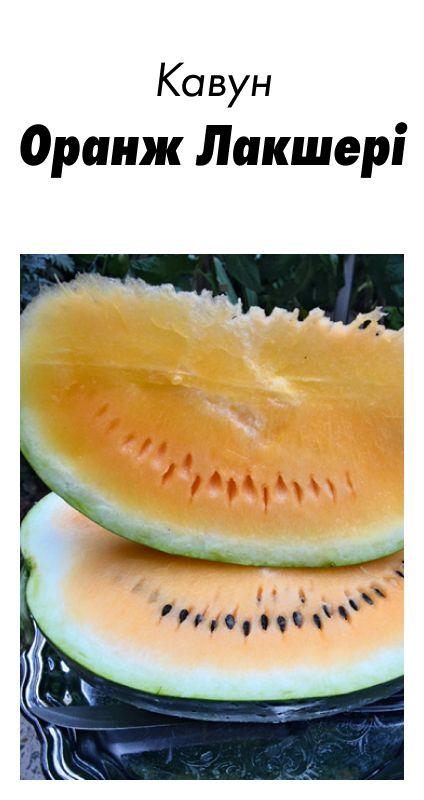 Насіння Кавун Оранж Лакшері F1, 5шт зіп-пакет (США)