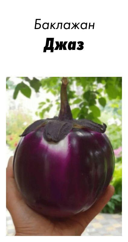 Насіння Баклажан Джаз F1, 5 шт зіп-пакет (США), фото 1