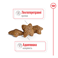 Сухий корм для дорослих собак малих порід повнораціонний ROYAL CANIN MINI ADULT, на вагу 250 г, фото 3