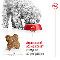 Сухий корм для дорослих собак малих порід повнораціонний ROYAL CANIN MINI ADULT, на вагу 250 г, фото 4