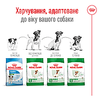 Сухий корм для дорослих собак малих порід повнораціонний ROYAL CANIN MINI ADULT, на вагу 250 г, фото 5