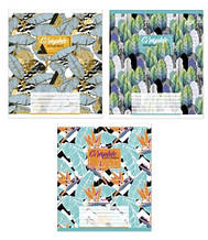 Зошит 60 арк. клітинка "Бріск" / Графічний орнамент