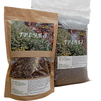 Гречиха посевная