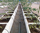 Крапельна трубка 3/5мм 100м Мікротрубка для систем мікрозрошення рослин, фото 7