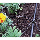 Крапельна трубка 3/5мм 100м Мікротрубка для систем мікрозрошення рослин, фото 8