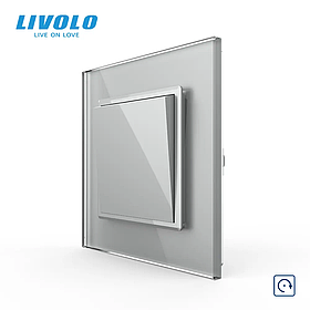 Кнопковий вимикач без фіксації (Дзвінковий вимикач, Імпульсний вимикач) Livolo Сірий