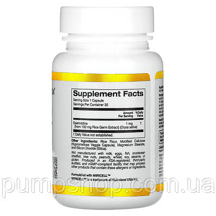 Екстракт паростків рису (спермідин) California Gold Nutrition Spermidine 1 мг 30 капс., фото 3
