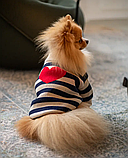 Светр в'язаний смугастий із серцем, фото 3