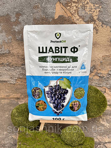 Шавіт 100гр, фото 1