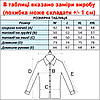 Сорочка чоловіча, приталена (Slim Fit), з довгим рукавом, FITMENS FS-002761 HF66 Lacivert 70% льон 30% бавовна, фото 4