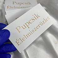 Візитка листівка (150х100 мм) з логотипом для юридичних фірм, фото 2