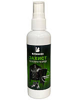 Водовідштовхувальний спрей захист від вологи та бруду "BLYSKAVKA"