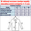 Сорочка чоловіча, прямого покрою, з довгим рукавом, FITMENS FS-002231 Lacivert Yesil 90% бавовна 10% поліестер, фото 4