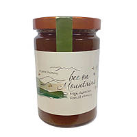 Мід гірського лісу органічний 970 г