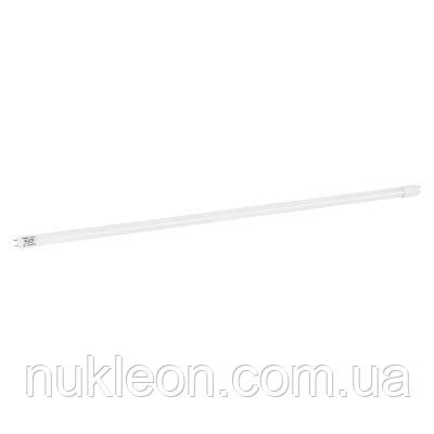 Популярний! Лампочка MAGNUM FLE-002 18 Вт T8 6500K 220В G13 (90021054) - Краща якість тільки на Nukleon.com.ua, фото 1