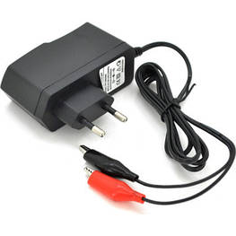 Мережевий зарядний пристрій для АКБ Merlion PPI-602000 - оригінал