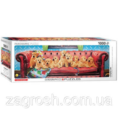 Promo Ціна! Пазл Eurographics Відпочиваючі лабрадори, 1000 елементів панорамний (6010-5630) - тільки на ZaGrosh.com.ua, фото 1