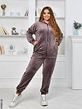 7960-22 Спортивний костюм жіночий на блискавці велюр супербатал (3 ед: 54-56,56-58,58-60), фото 3