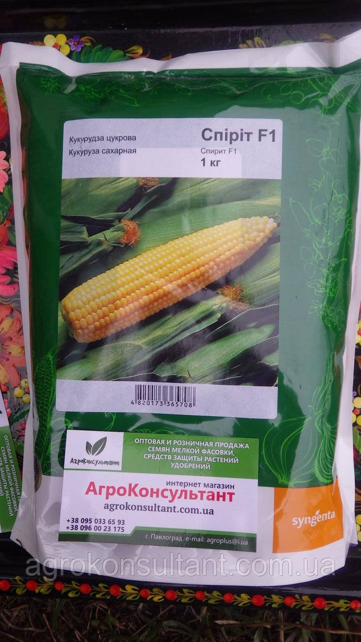 Насіння цукрової кукурудзи Спіріт F1 (Syngenta), 1 кг - ранній (68 днів) гібрид типу SU (солодка)