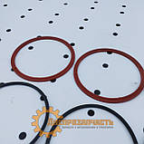 Ремкомплект гідроциліндру ЦС-75 ст. обр. ЮМЗ МТЗ, фото 4