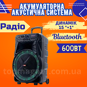 Акумуляторна акустична система 600 Вт з мікрофоном Bluetooth колонка з підсвіткою та радіо