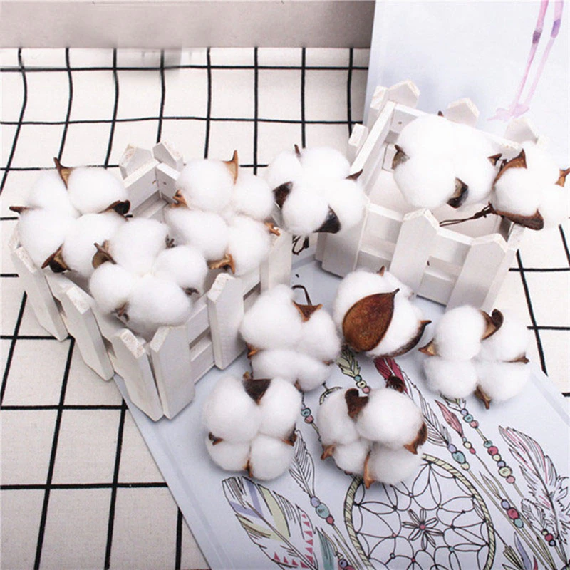 Декоративний Елемент Коробочки Бавовни Сухостій 6 см для декору Ціна за 15 шт., фото 1