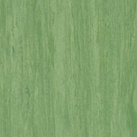 Комерційний гомогенний лінолеум STANDARD PLUS DARK GREEN 0921