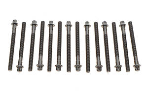 Болти ГБЦ BMW 3 (E46) 5 (E36 E60 E61) 90- (L=110mm) M52 комплект 14 шт. (Victor Reinz 14-32101-01)