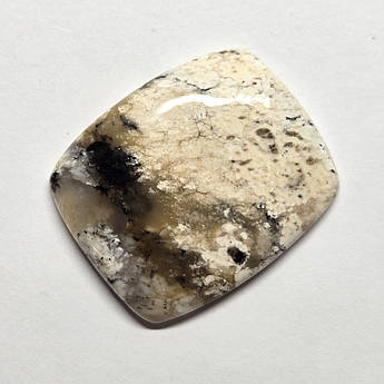 Дендроопал - кабошон (кахолонга із включеннями дендриту) для колекції для створення ювелірних прикрас 24,5 ct