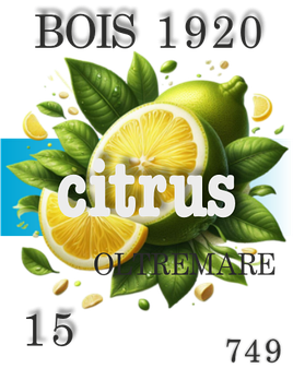 Парфумерна олія (749) версія аромату Oltremare Bois 1920 — 15 мл композит у ролоні