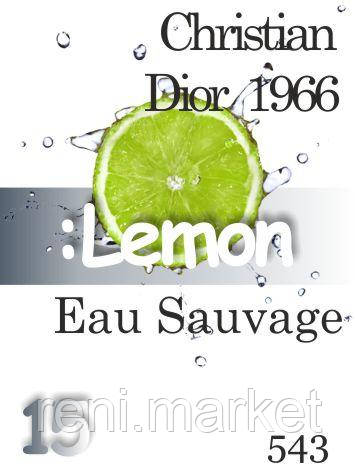 Парфумерна олія (543) версія аромату Крістіан Діор Eau Sauvage 1966 композит у ролоні — 15 мл