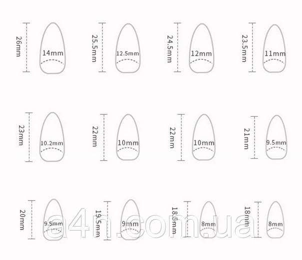 Накладные ногти - Интернет-магазин A4N Размеры накладных ногтей