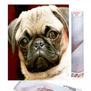 Набір алмазної мозаїки (вишивки) Cornix Art 40 x 30 см AY08 Poland