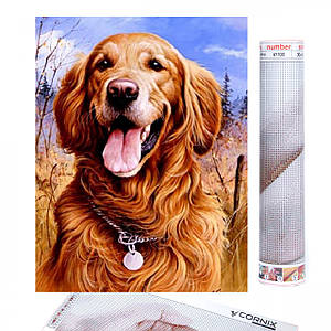 Набір алмазної мозаїки (вишивки) Cornix Art 40 x 30 см AY27 Poland