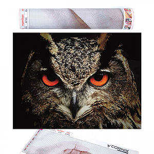 Набір алмазної мозаїки (вишивки) Cornix Art 40 x 30 см AY65 Poland