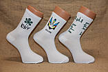 Чоловічі шкарпетки середні ТЕННІС НЛ з написами 41-44 білий Київ, фото 2