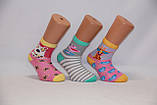 Дитячі шкарпетки з бавовни для малюків Стиль люкс 12-14 лама, фламінго,жираф, фото 2