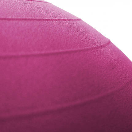 М'яч для фітнесу (фітбол) SportVida 65 см Anti-Burst SV-HK0289 Pink Poland, фото 3
