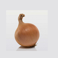 Цибуля сівок 100г Центуріон ф1 Broer B.V. 10/21мм