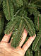 Ялинка штучна новорічна лита Лапландська Зелена, фото 6