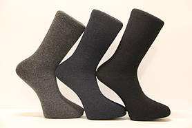 Чоловічі шкарпетки з тонкої вовни SL 40-45 асорті